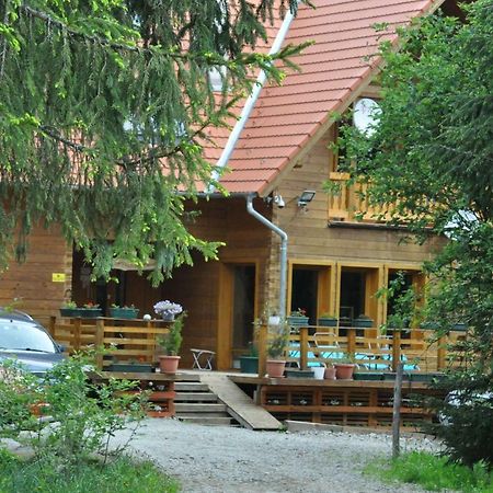 Bed and Breakfast Mofetta Panzió Sintimbru-Bai Exterior foto