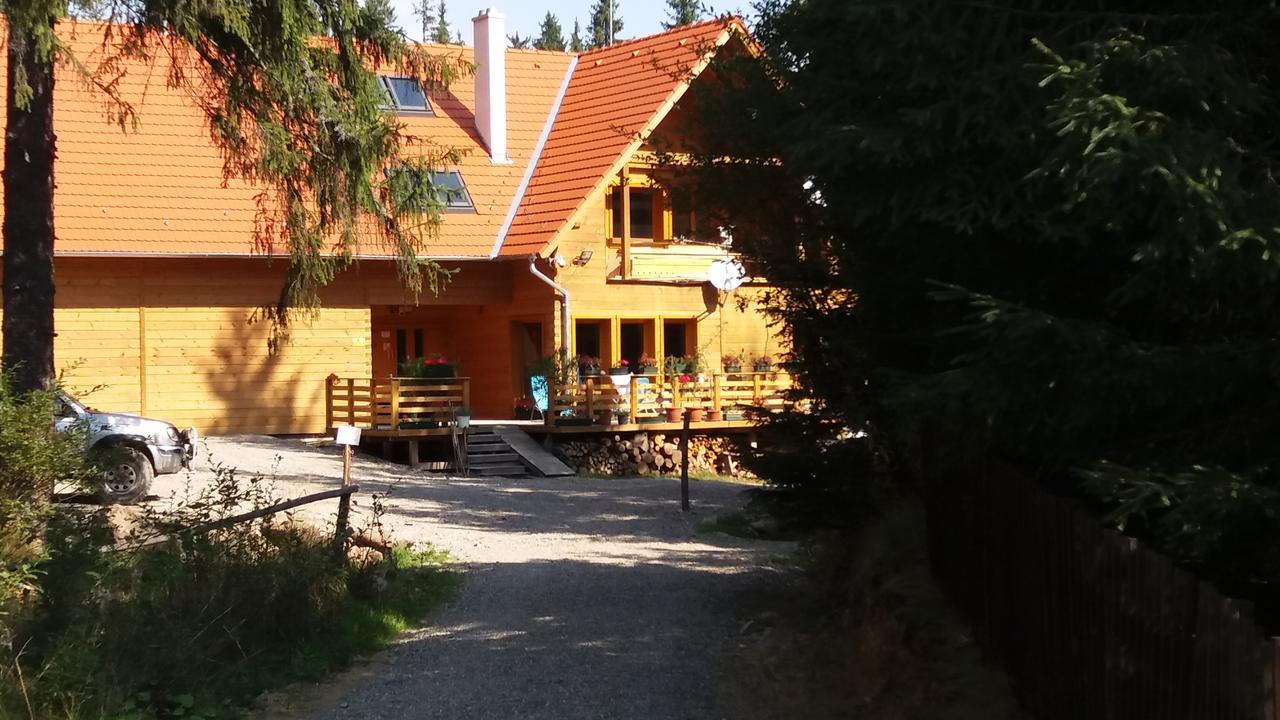 Bed and Breakfast Mofetta Panzió Sintimbru-Bai Exterior foto