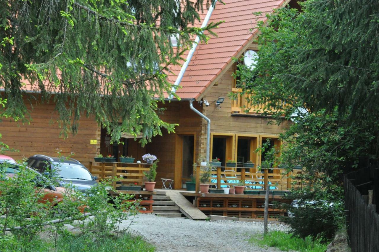Bed and Breakfast Mofetta Panzió Sintimbru-Bai Exterior foto